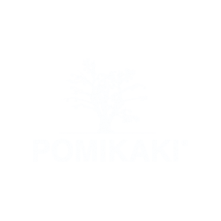 Producer Video - Cinema d'azienda - pomikaki